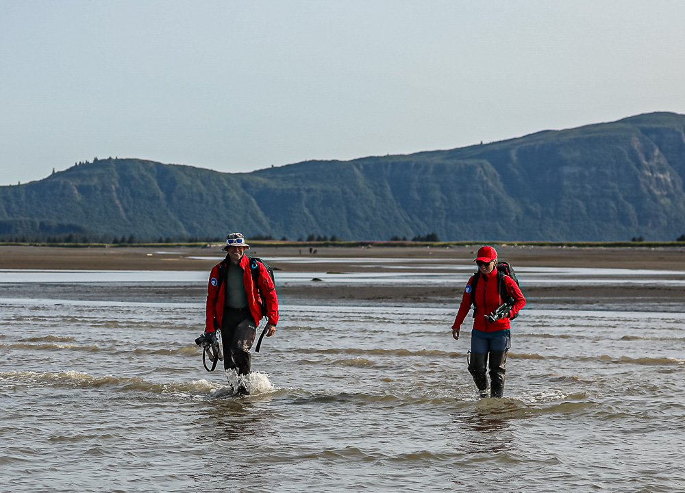 couple Katmai bears photographer