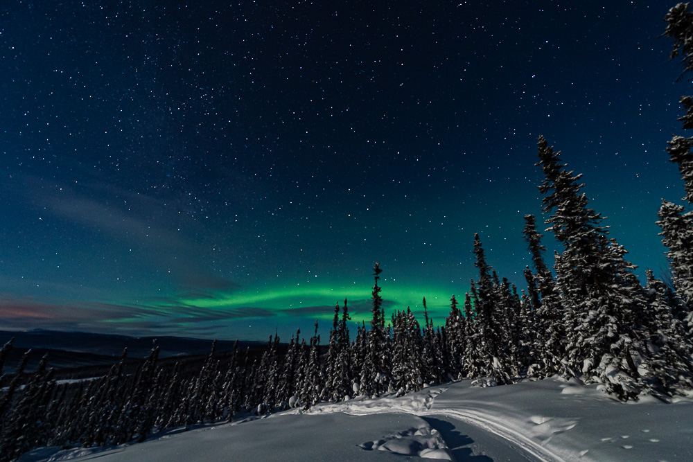 trail snowshoe winter Alaska night aurora