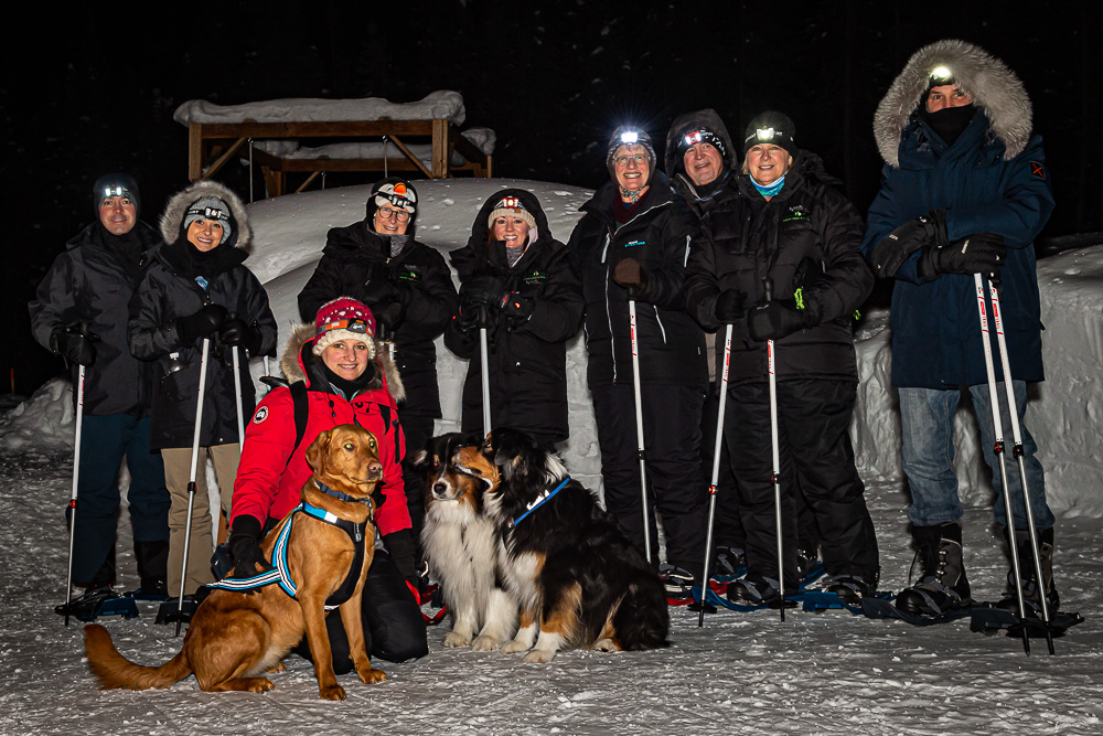 group dogs people snowshoe night winter Alaska