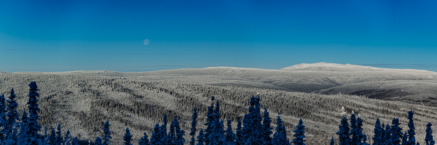 Winter wonder Land Alaska Fairbanks