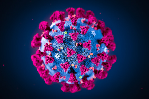 Covid virus