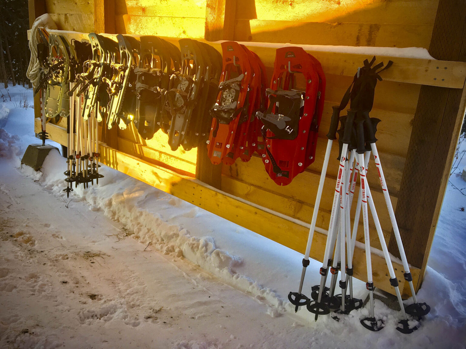 rental equipment Aurora Bear